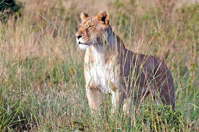 4 Days Budget Lodge Safari Tour Tanzania - Frequently Asked Questions