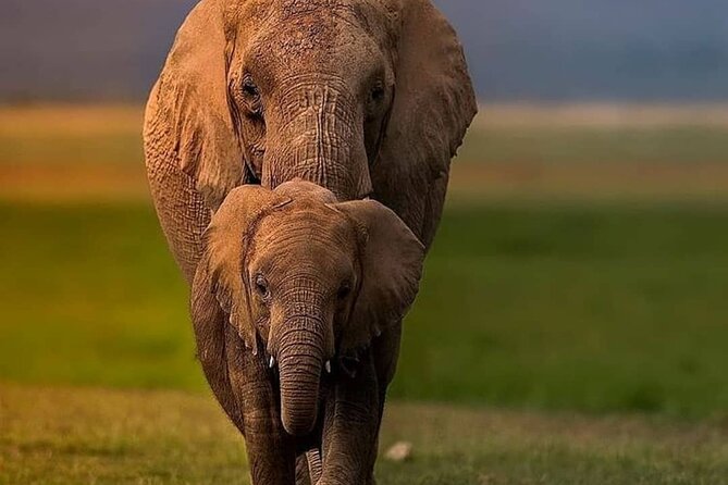 4-Days Bush to Bush Authentic Budget Safari - Safari Vehicle and Equipment