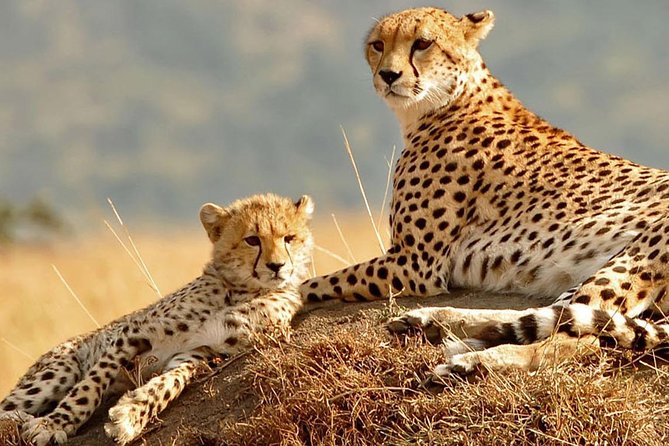4 Days Camping Safari – Tarangire, Ngorongoro, Manyara, Olduvai Gorge - Booking and Cancellation Policy