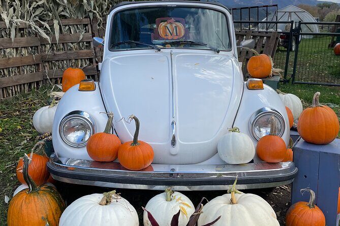 4 Days Canadian Rockies Fall/Spring Tour - An In-Depth Look at the Itinerary and Experience