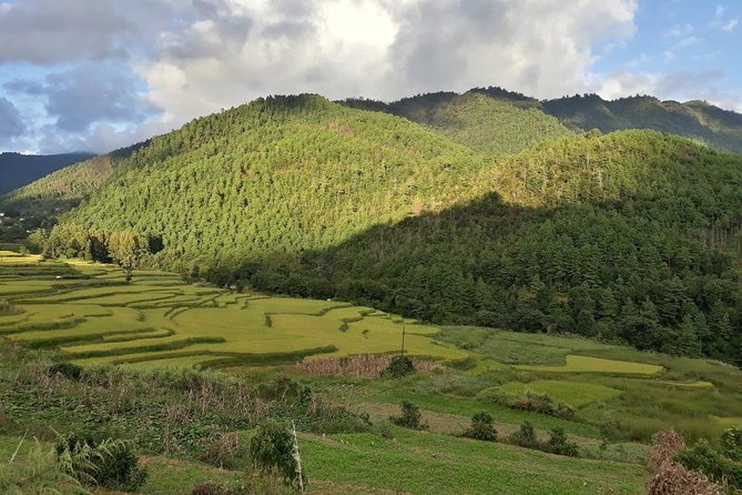 4 Days Chitlang Village Homestay Community Hike - Overview of the Experience