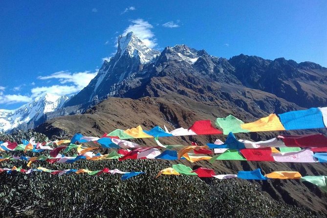 4 Days Glorious Mardi Himal Base Camp Trek - Overview and Inclusions