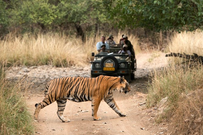 4 Days Golden Triangle Tour With Ranthambore From Delhi - Tour Itinerary