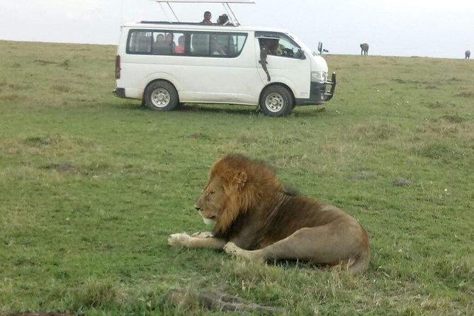 4 Days Great Migration Maasai Mara and Lake Nakuru Safari in Kenya - Meals and Beverages Included