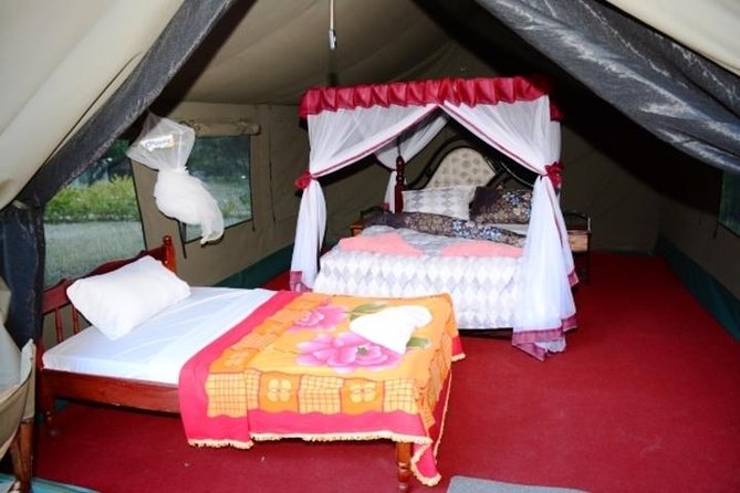 4 Days Group Joining Budget Safari To Masai Mara And Lake Nakuru National Park - Frequently Asked Questions