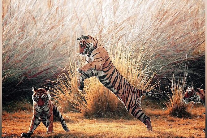 4 Days Guided Jaipur, Ranthambore Tigers & Udaipur Tour With Safari & Hotels - Booking Information