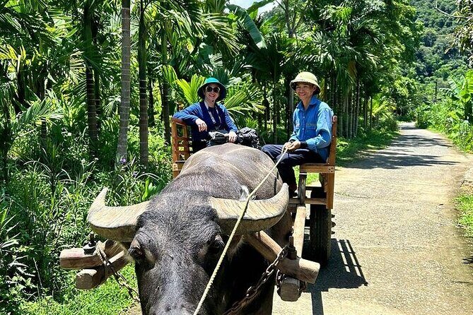 4 Days Hanoi to Pu Luong and Ninh Binh Culture Nature Adventure - Practical Details and Tips