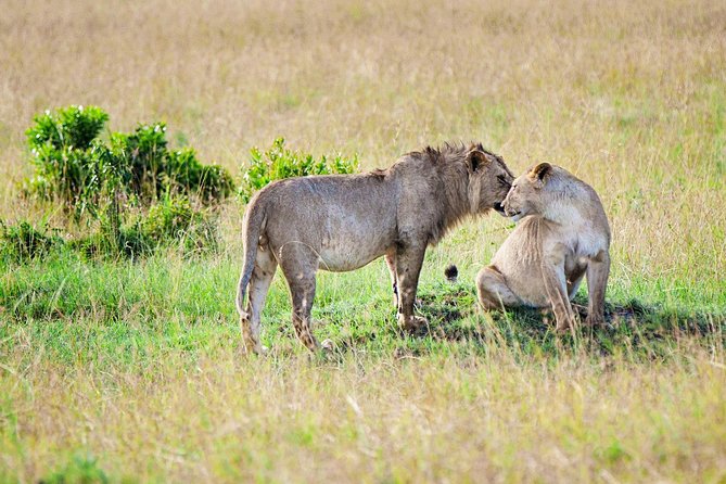 4 Days Holiday Safari in Kenya - Directions and Map