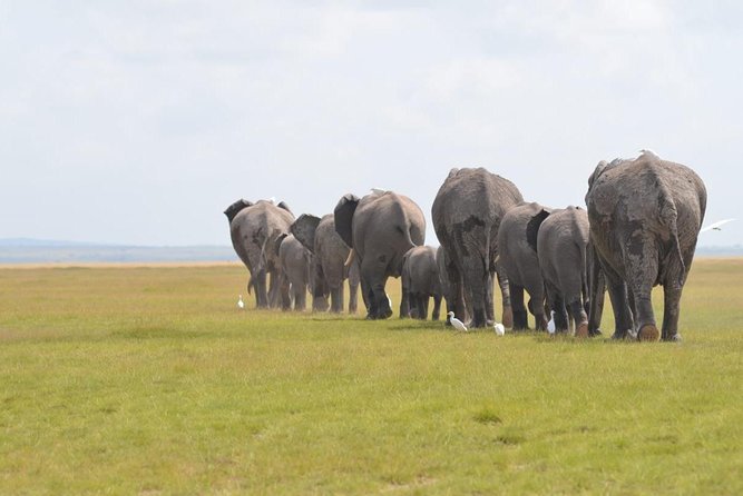 4 Days in Masai Mara and Lake Nakuru - Booking & Confirmation Process