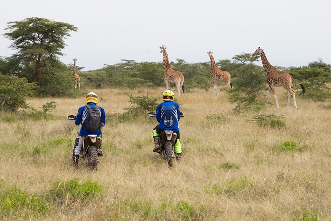 4 Days Incredible Wildlife Off-Road Motorbike Tour in Soysambu Conservancy - Wildlife Encounters