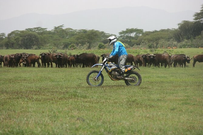 4 Days Incredible Wildlife Off-Road Motorbike Tour in Soysambu Conservancy - Practical Information