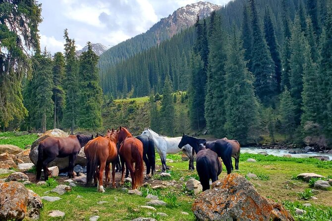 4 Days Issyk Kul, Chon Kemin & Ala Archa With Nomadic Stay - Customer Reviews