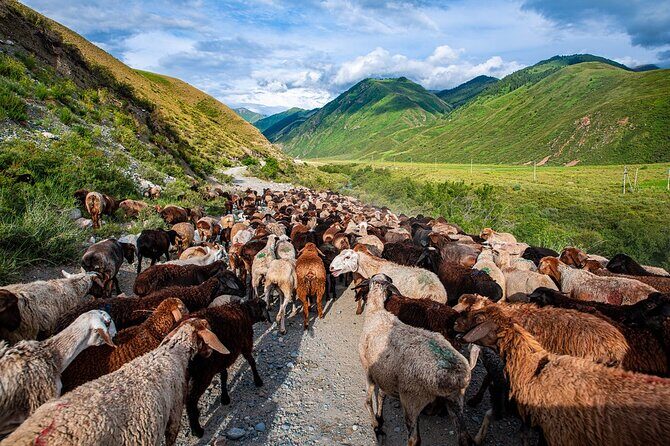 4 Days Issyk Kul & Chon Kemin: Horse Riding and Nomadic Yurt Stay - FAQs