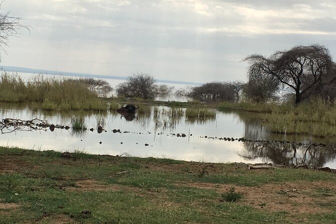 4 Days Join Group Tour Tarangire Serengeti and Ngorongoro Crater - Meals and Inclusions