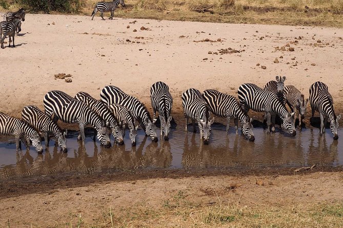 4 Days Joining Group Budget Camp Safari in Serengeti , Ngorongoro and Tarangire - Frequently Asked Questions