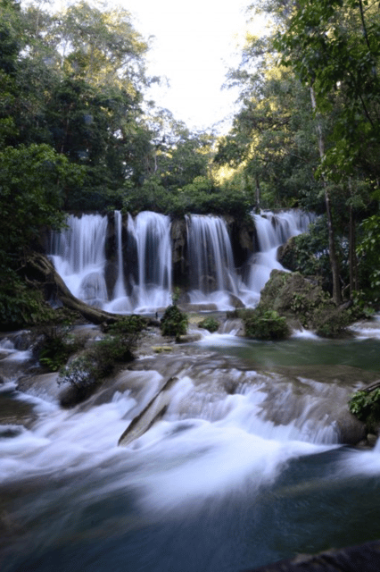 4 Days Kayak Tour in Lacandona Jungle - Tour Highlights