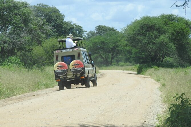 4 Days Kenya Safari - Wildlife Encounters