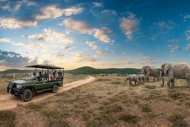 4 Days Kruger Park Big 5 Safari and Awesome Panorama Route - Pickup Details and Start Time