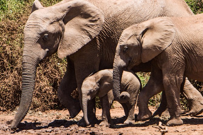 4 Days Kruger Park Big 5 Safari and Awesome Panorama Route - Directions