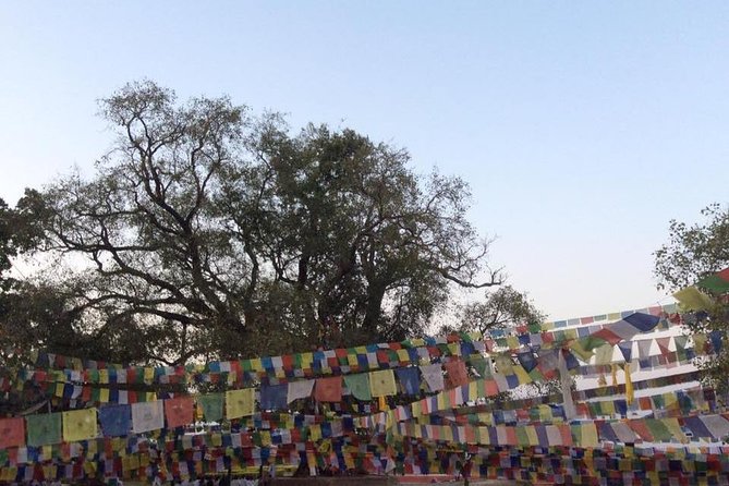 4 Days Lumbini Buddhist Circuit Tour From Kathmandu - Lumbini Tour Details