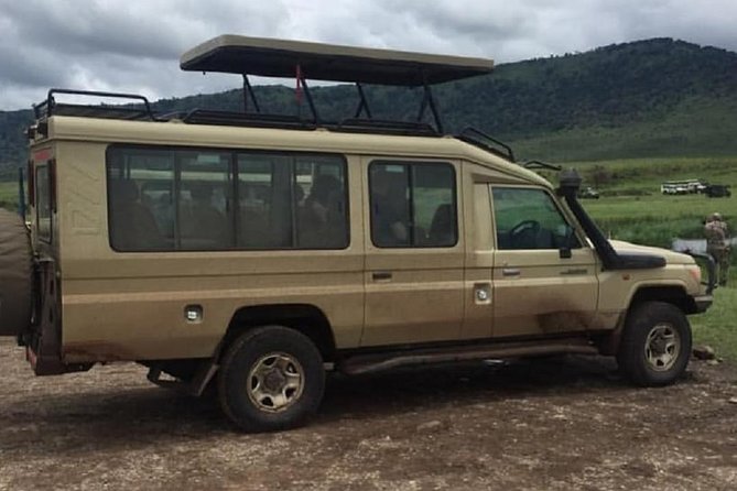 4 Days Luxury Safari (A Dream Experience) - Wildlife Encounters