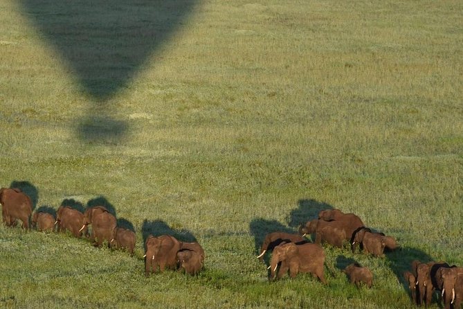 4 Days Luxury Safari (A Dream Experience) - Frequently Asked Questions