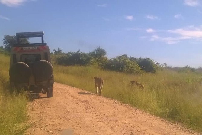 4 Days Luxury Safari to Ngorongoro Crater & Serengeti National Park - Frequently Asked Questions