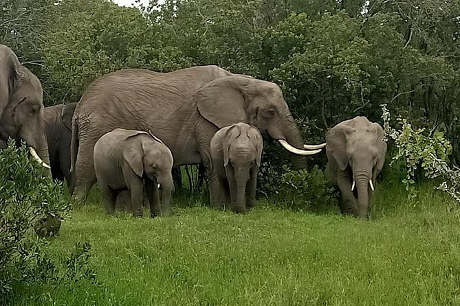 4 Days Maasai Mara & L. Nakuru N. Park - Park Entry & Fees