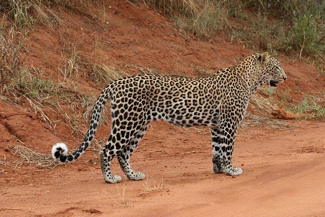 4 Days Maasai Mara & L. Nakuru N. Park - Game Drives & Safari Experience