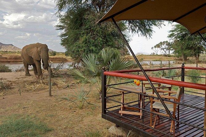 4 Days Maasai Mara-Nakuru Mid-Range - Frequently Asked Questions