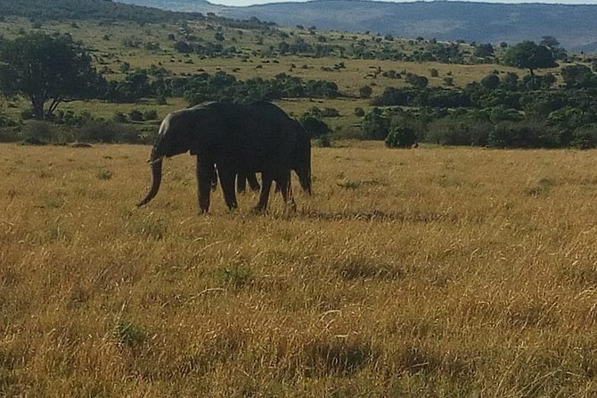 4 Days Maasi Mara-Nakuru National Park Budget Camping Safari - Accommodation Details