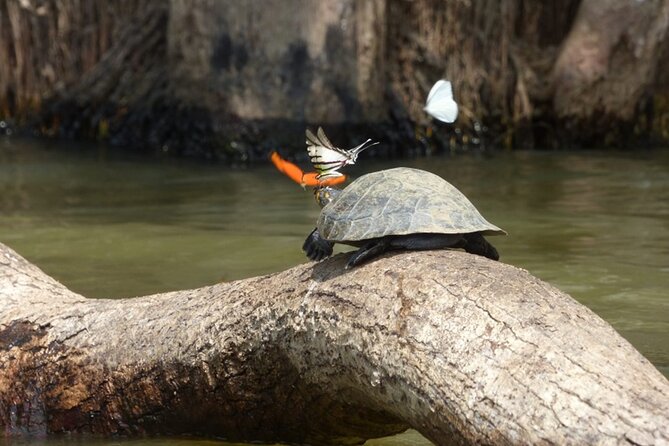 4 Days- Manu Peruvian Jungle - Pricing and Guarantee