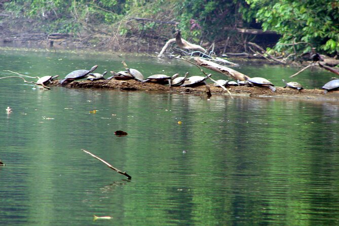 4 Days- Manu Peruvian Jungle - Common Questions