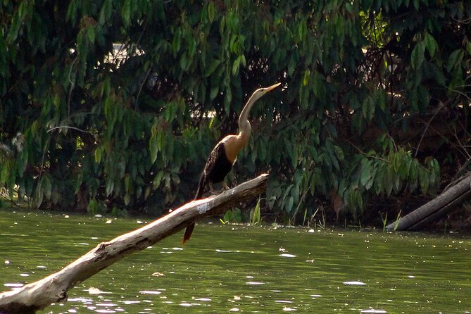 4 Days- Manu Peruvian Jungle - The Sum Up