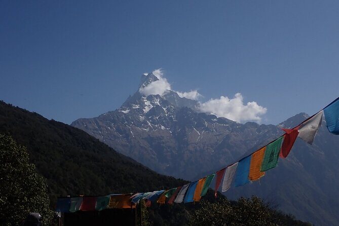 4 Days Mardi Himal Base Camp Trek from Pokhara - Final Thoughts