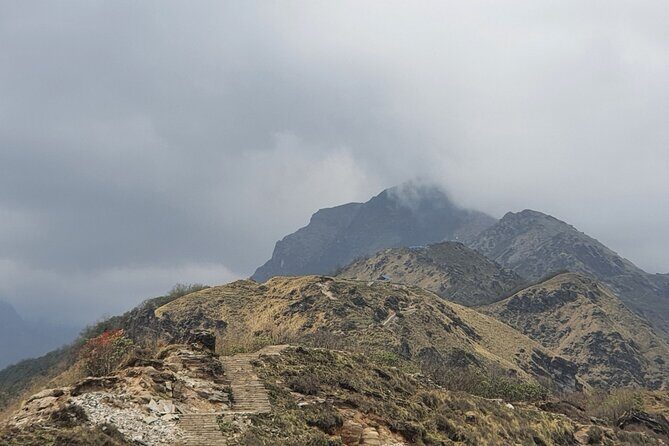 4 Days Mardi Himal Base Camp Trek from Pokhara - What Makes This Trek Special?