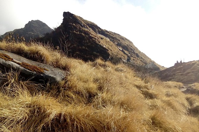 4 Days Mardi Himal Base Camp Trek From Pokhara - Accommodation and Permits