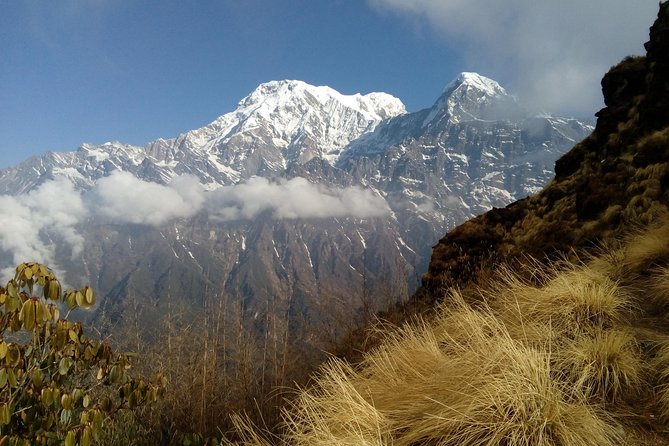 4 Days Mardi Himal Base Camp Trek From Pokhara - Reviews and Ratings