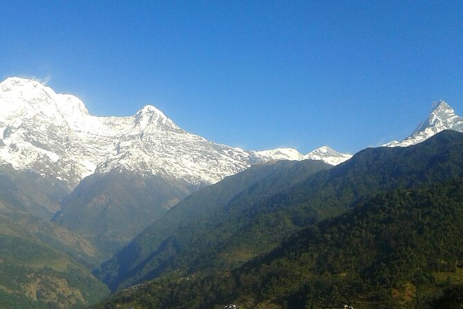 4 Days Mardi Himal Base Camp Trekking in Pokhara - Trekking Overview
