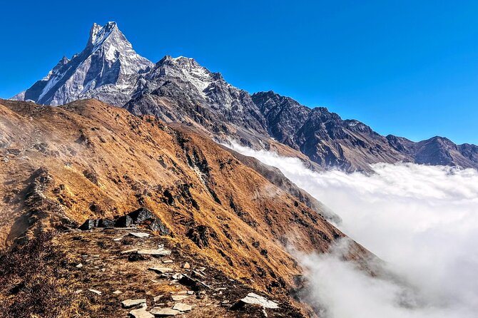 4 Days Mardi Himal Base Camp Trekking in Pokhara - Common Questions