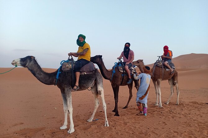 4 Days Marrakech to Merzouga Desert - Cancellation Policy