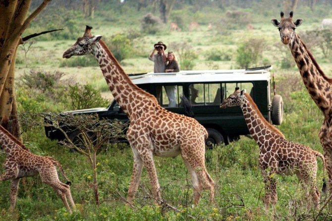 4 Days Masai Mara and Lake Nakuru - Good To Know