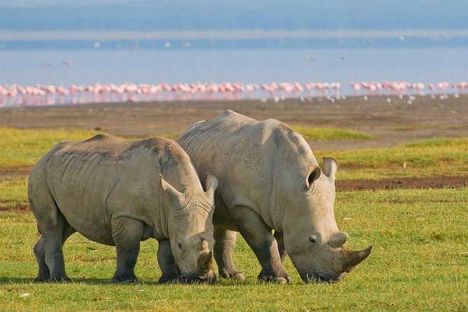 4 Days Masai Mara and Lake Nakuru - Accommodation Details