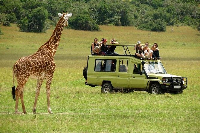 4 Days Masai Mara and Lake Nakuru Luxury Safari on 4x4 Jeep - The Sum Up