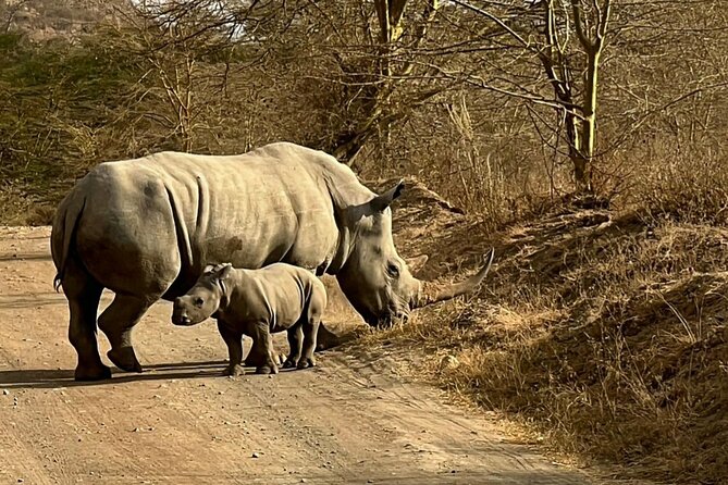 4 Days Masai Mara and Lake Nakuru Safari From Nairobi - Accommodation Details