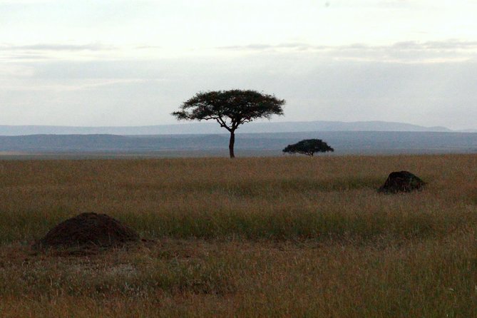 4 Days Masai Mara Camping Safari - The Sum Up