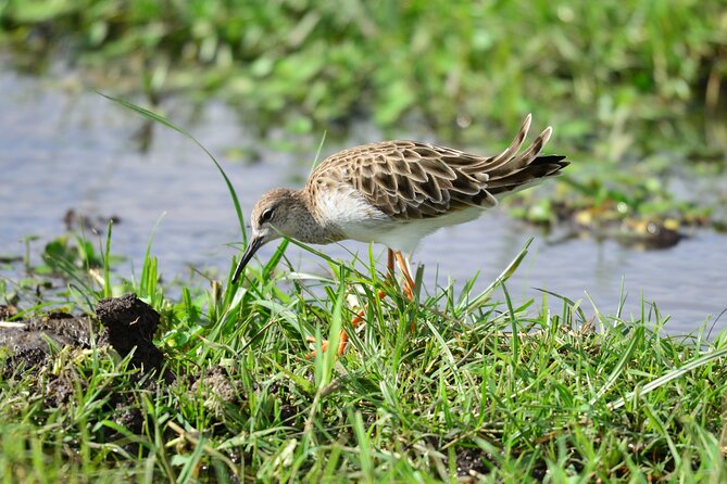 4 Days Masai Mara/Lake Nakuru Budget Safari - Frequently Asked Questions