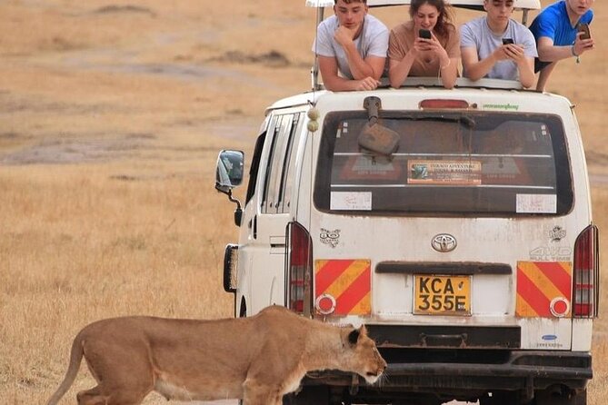 4 Days Masai Mara Lake Nakuru Jeep Safari - Inclusions and Logistics