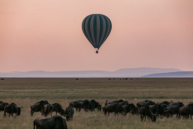 4 Days Masai Mara Safari - Inclusions and Exclusions