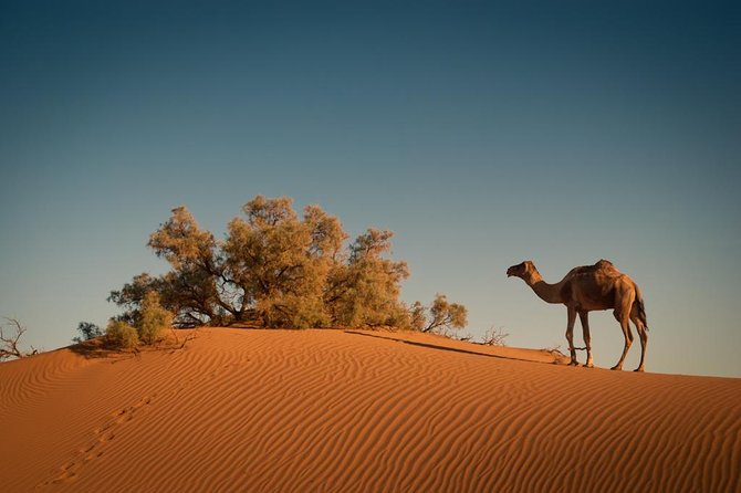 4 Days Merzouga Desert From Marrakech - Tour Duration and Itinerary